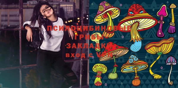 ешки Белоозёрский