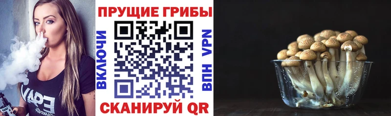 Псилоцибиновые грибы Magic Shrooms  купить наркотики цена  Каспийск 