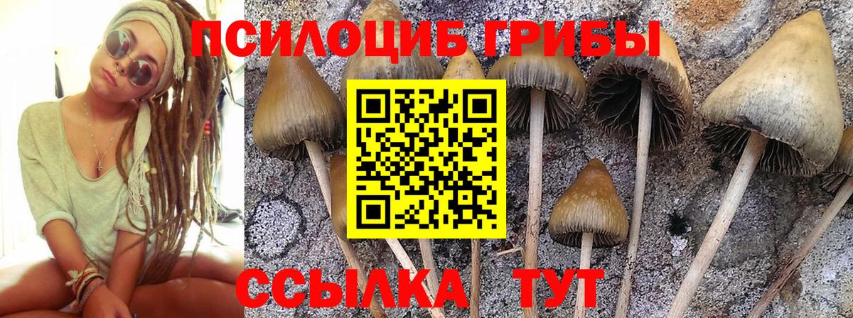 Галлюциногенные грибы Magic Shrooms Каспийск