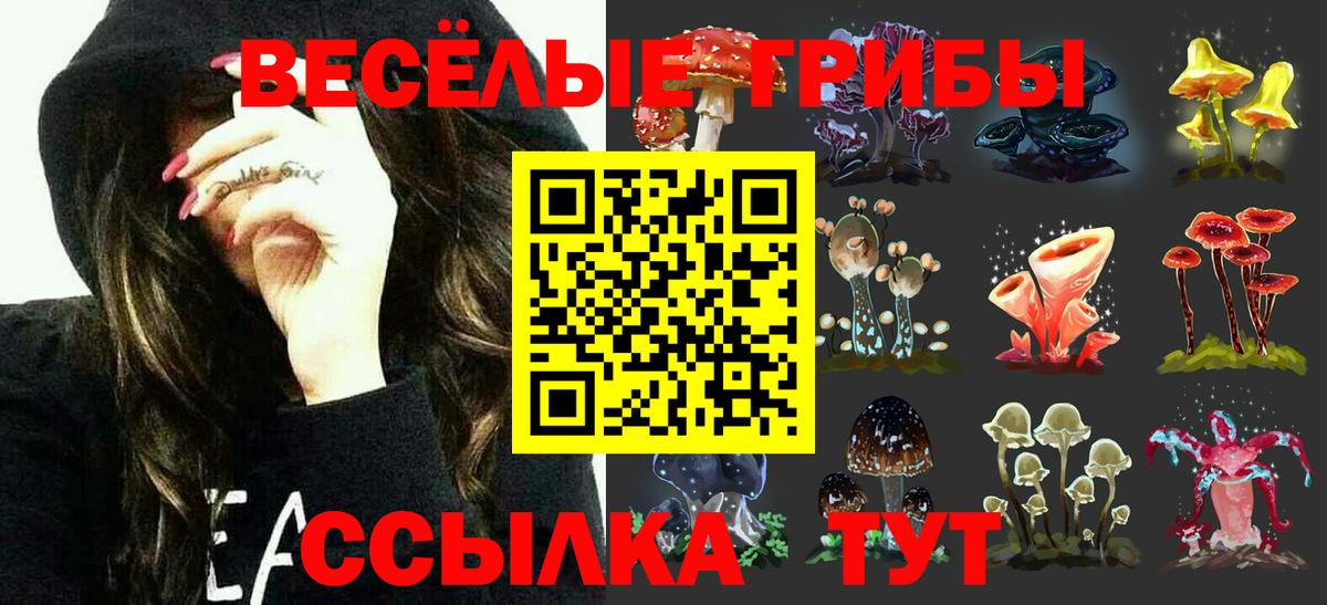 Каспийск  Галлюциногенные грибы мицелий  Вход с VPN 